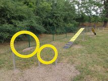 Agility – psí hřiště